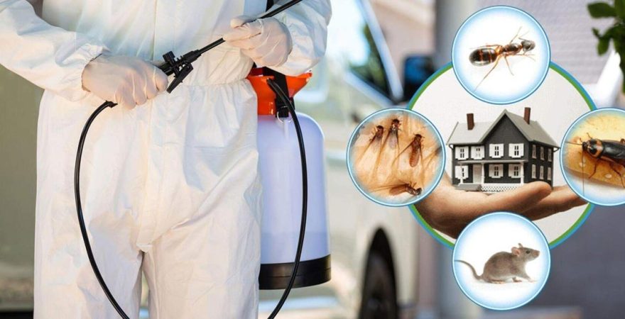 Çerkezköy Böcek İlaçlama