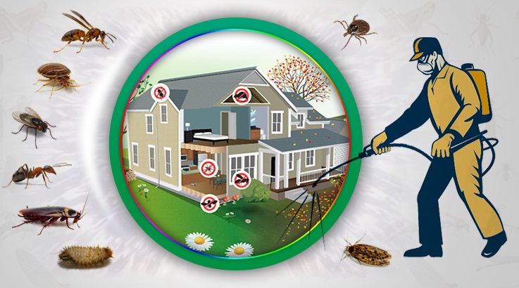 Çerkezköy Böcek İlaçlama