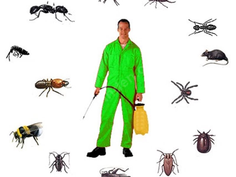 Çerkezköy Böcek İlaçlama